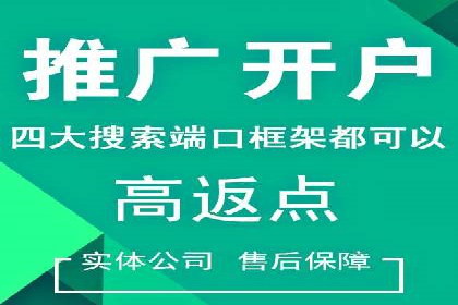 SEO与SEM融合策略：成功案例解析